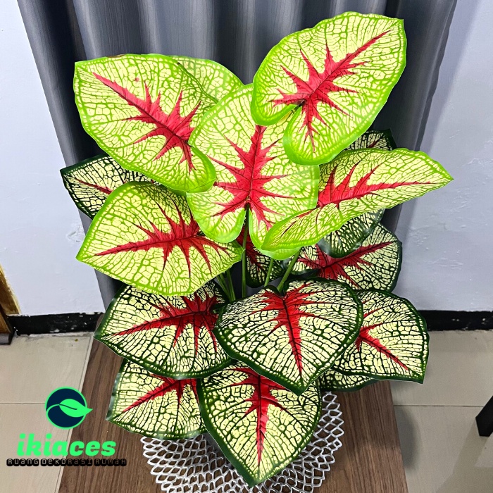 Ikiaces Facebook ad: DISKON up to 50% - Dekor rumah instagramable…