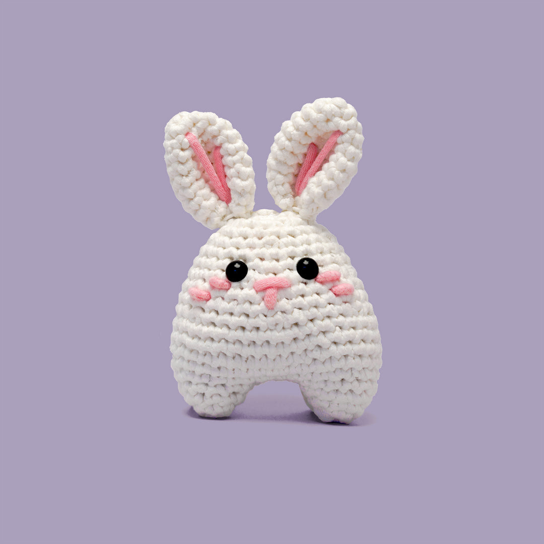 The Stitchables - Learn to crochet kits Facebook ad: OUR TOP PICKS ARE BACK!
