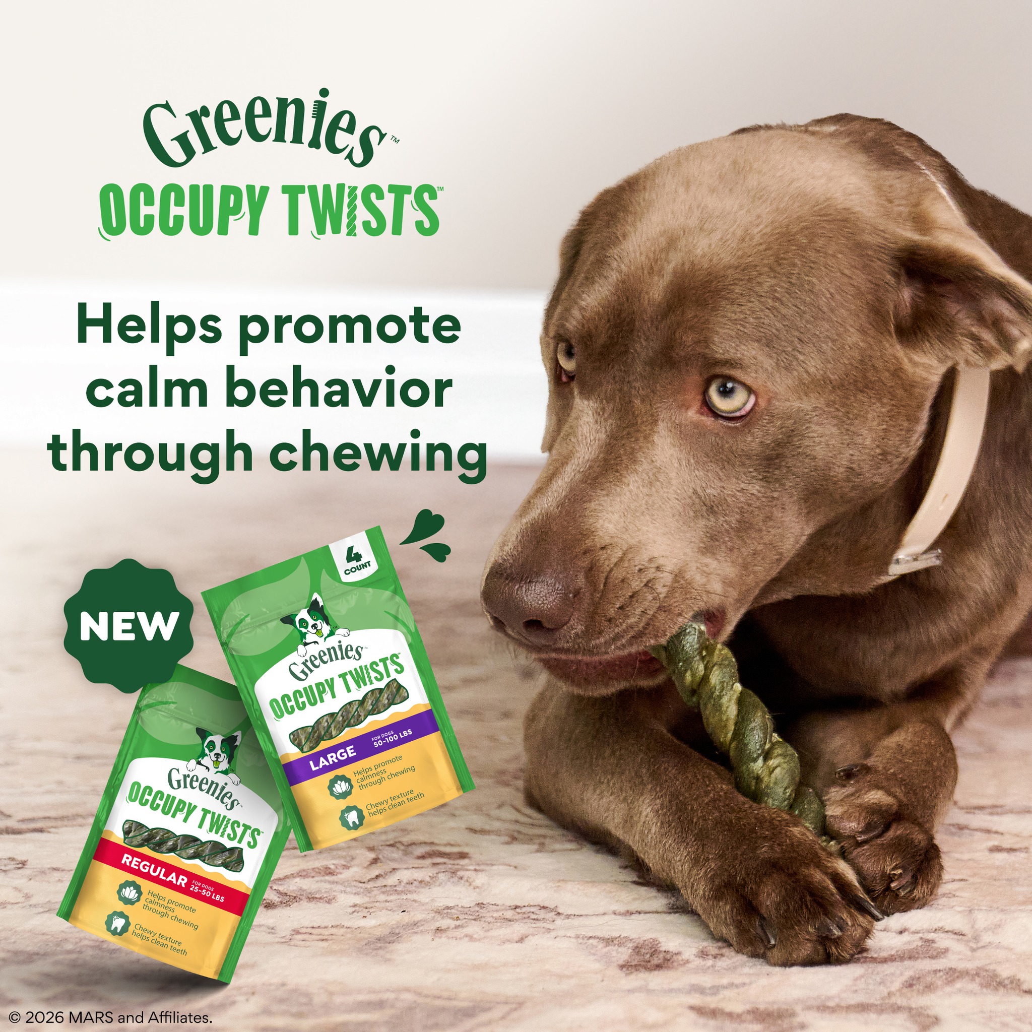 Chewy Facebook ad