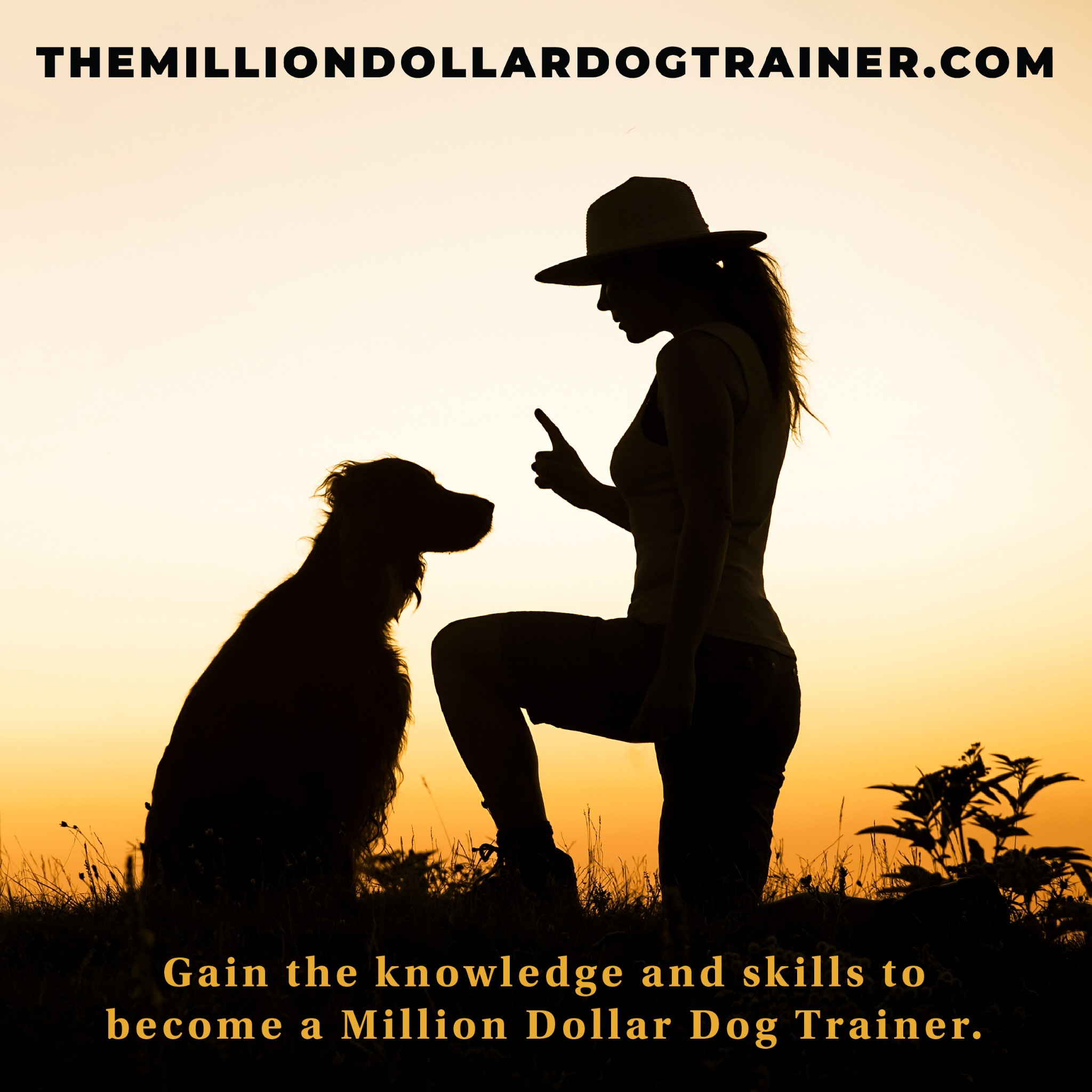 The Million Dollar Dog Trainer Facebook ad: Unlock the Secrets of Successful Dog Training - Get Your…