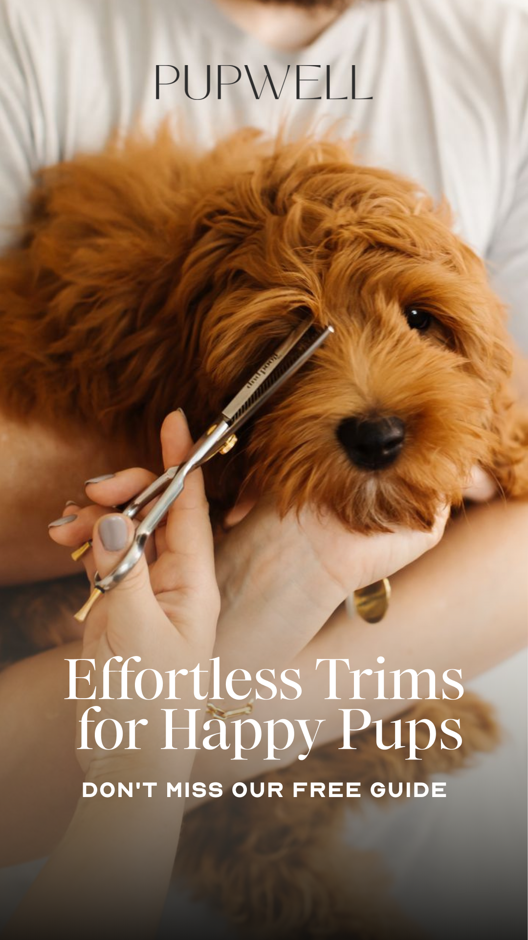 Pupwell Facebook ad