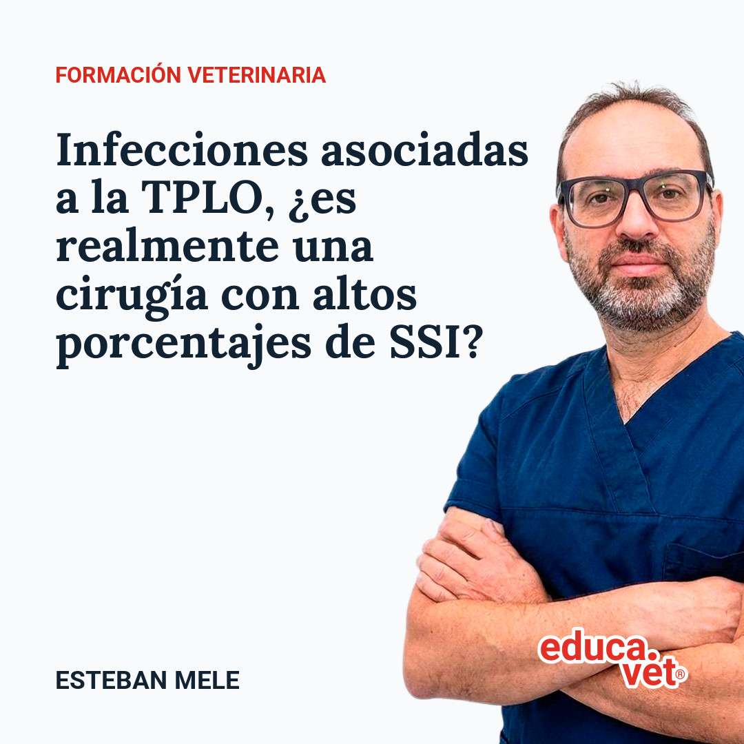 Educa.vet Facebook ad: La formación veterinaria está cambiando.