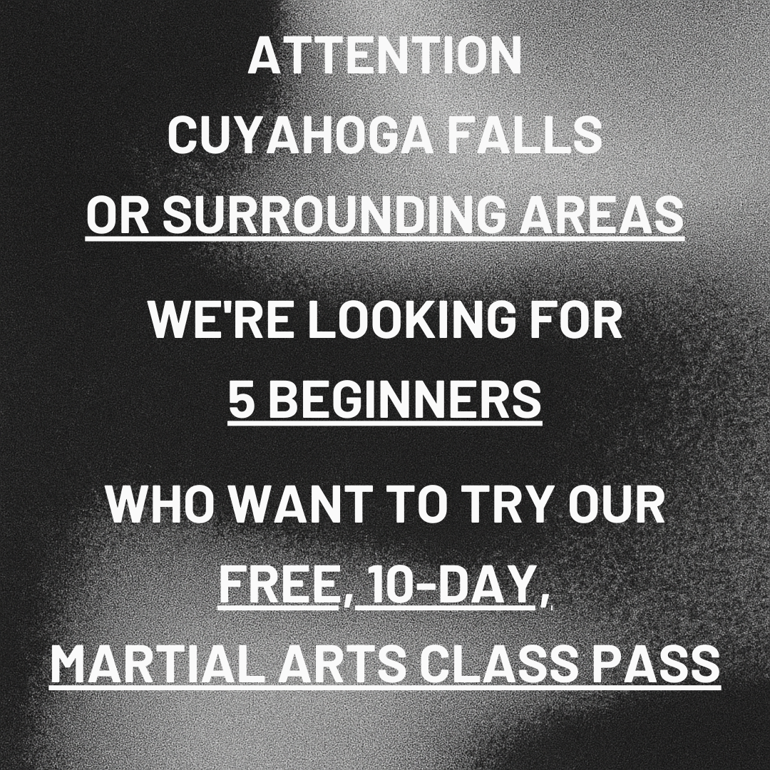 World Kickboxing Academy Facebook ad: Want a FREE 10-Day, Martial Arts Class Pass?