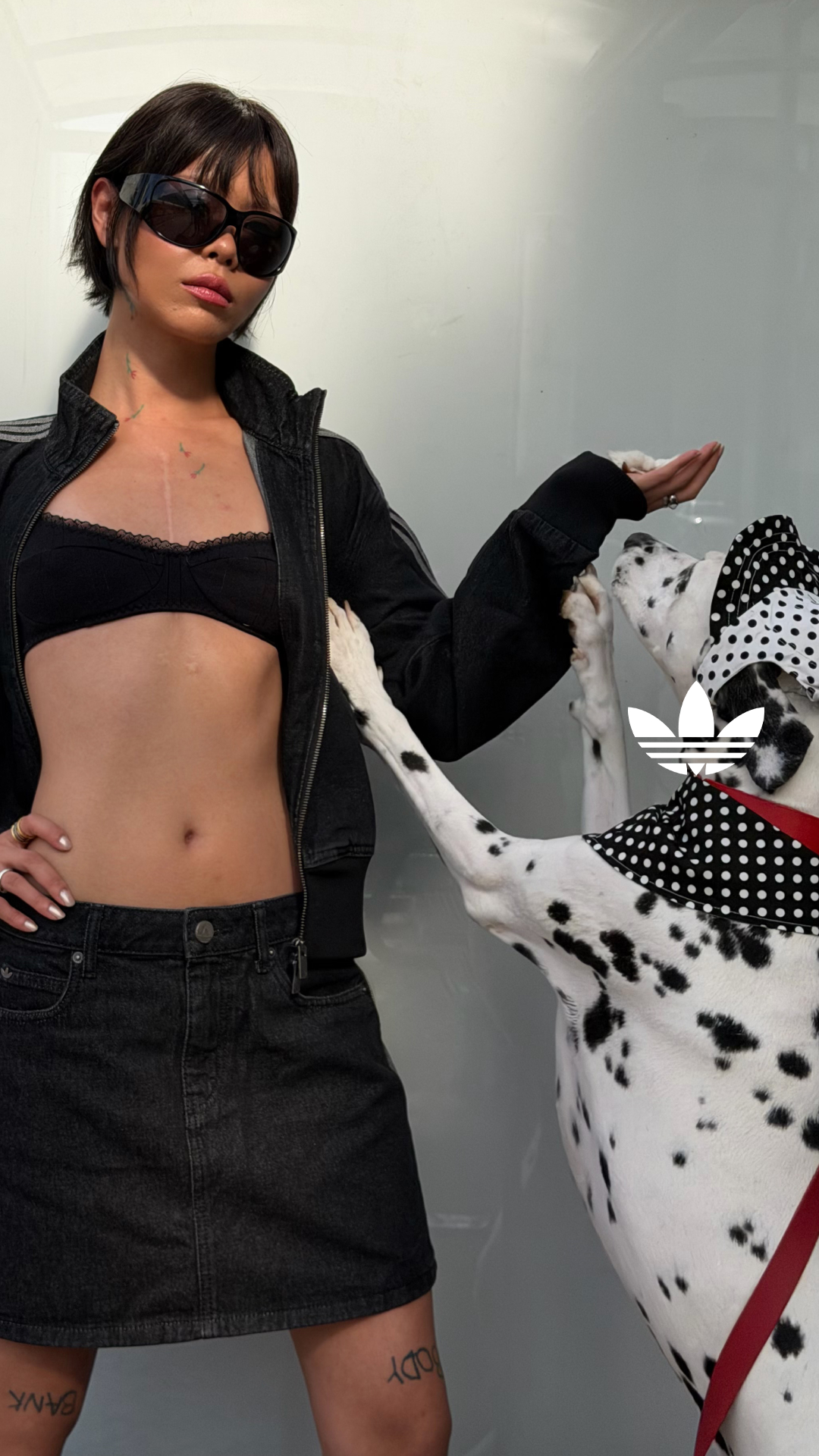 Zalando Brands Facebook ad: Denim, Knit & Icons.