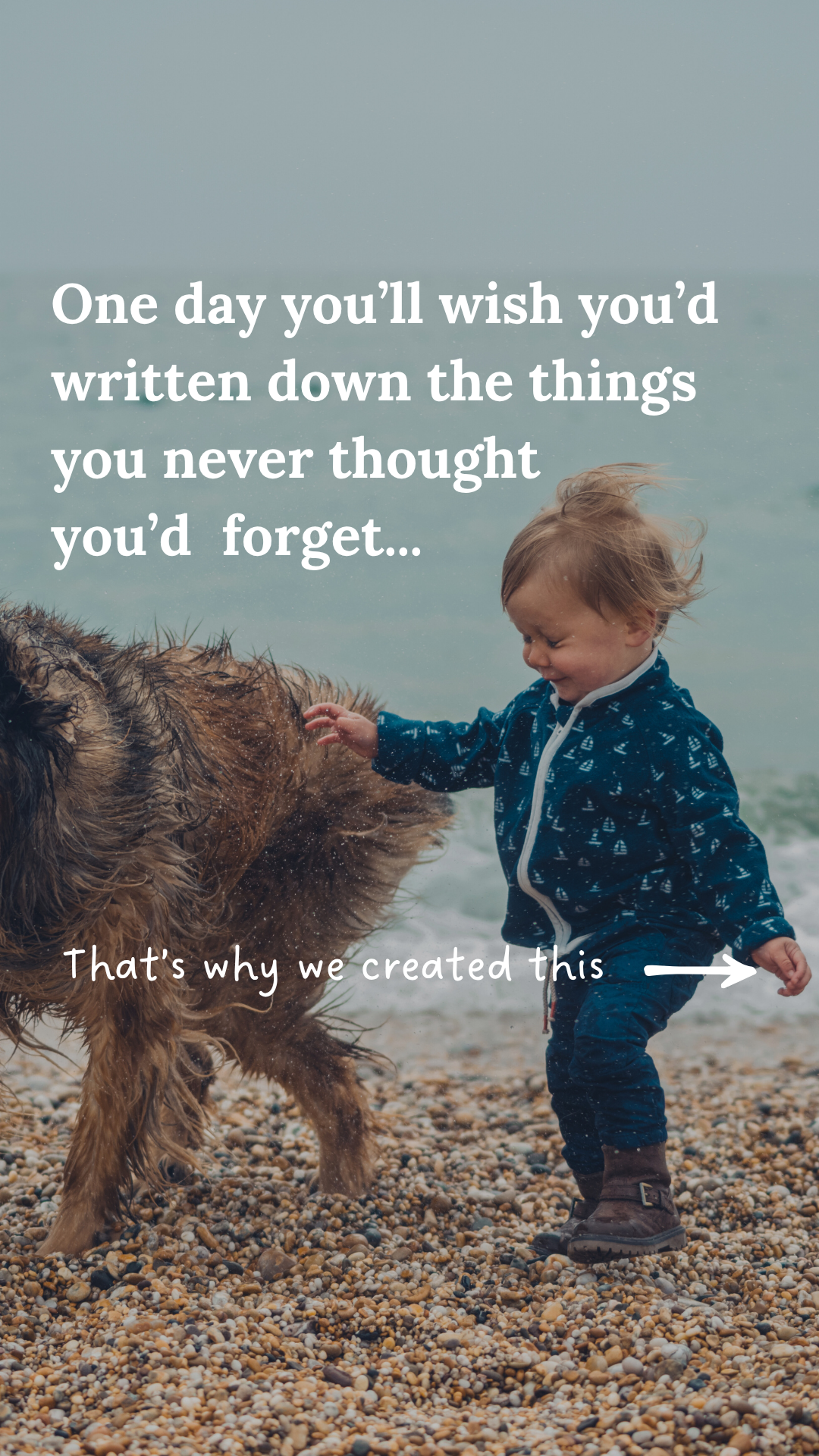 Little Life Stories Facebook ad