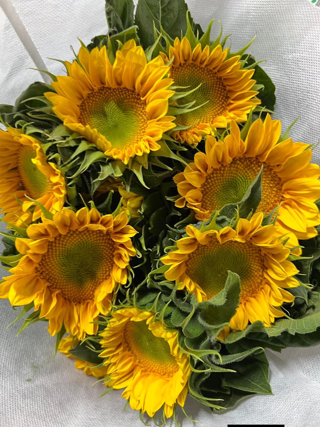 Xinman international flower supply co.(3) Facebook ad: New Arrival