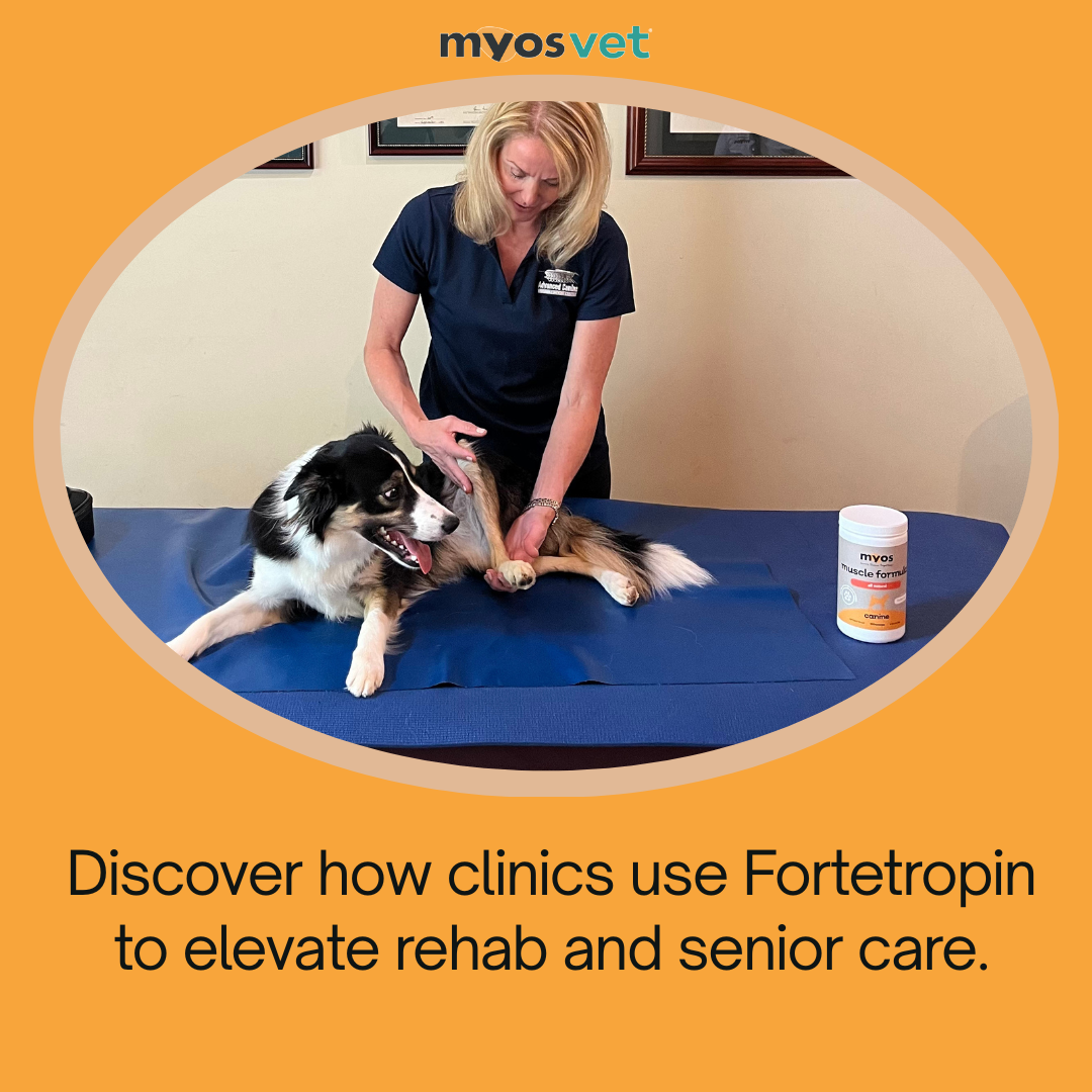 Myos Pet Products Facebook ad