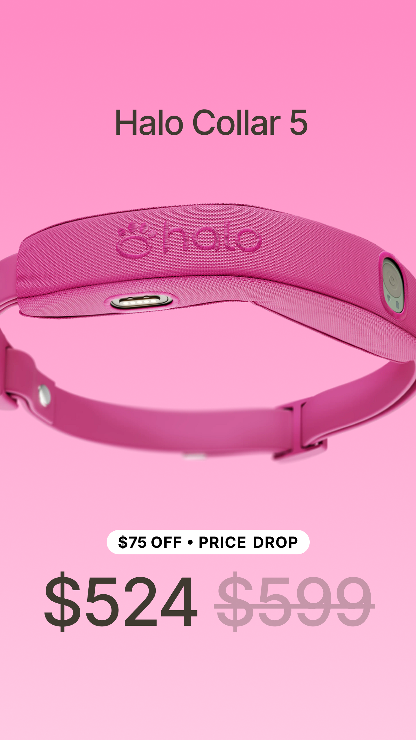 Halo Collar Facebook ad