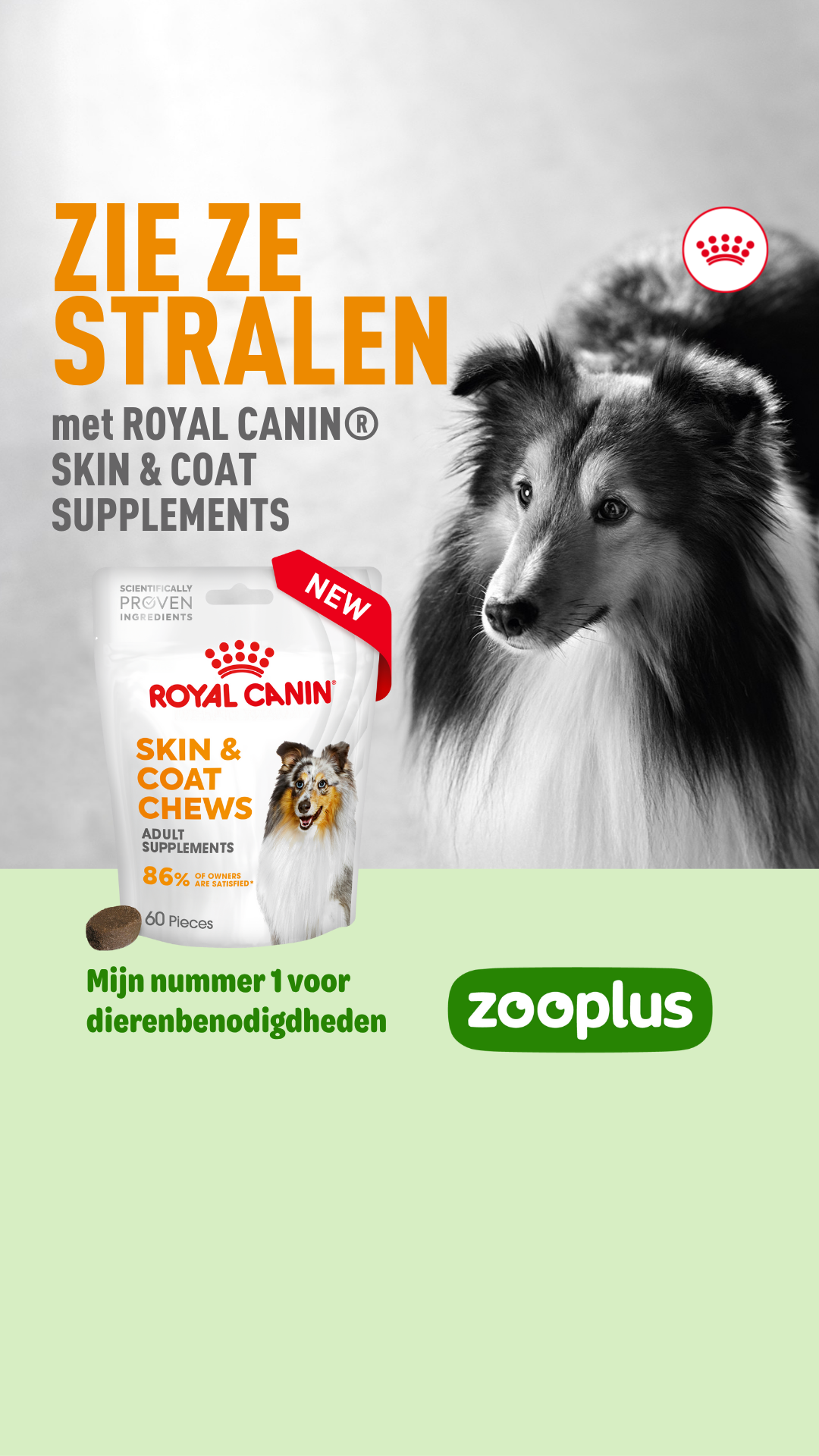 zooplus Facebook ad