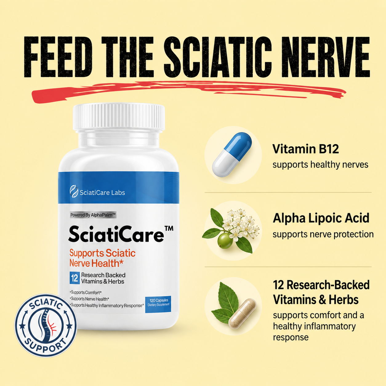 Vitality Today UK Facebook ad: Your Sciatic Nerve Is Starving