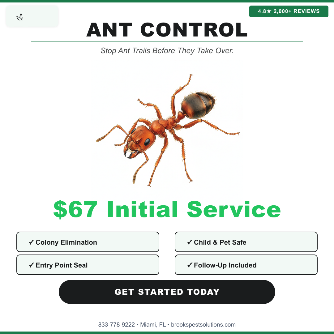 Brooks Pest Solutions Facebook ad