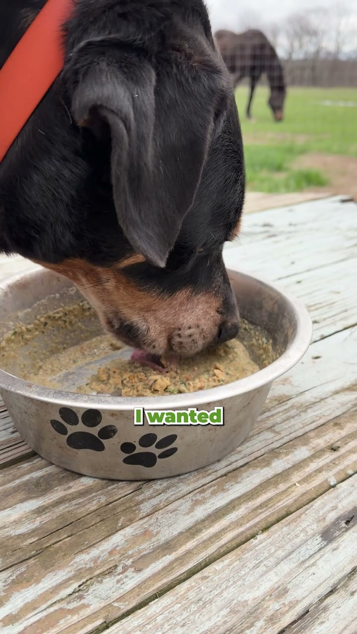 Only Natural Pet Facebook ad: Just Add Water. Real Food.
