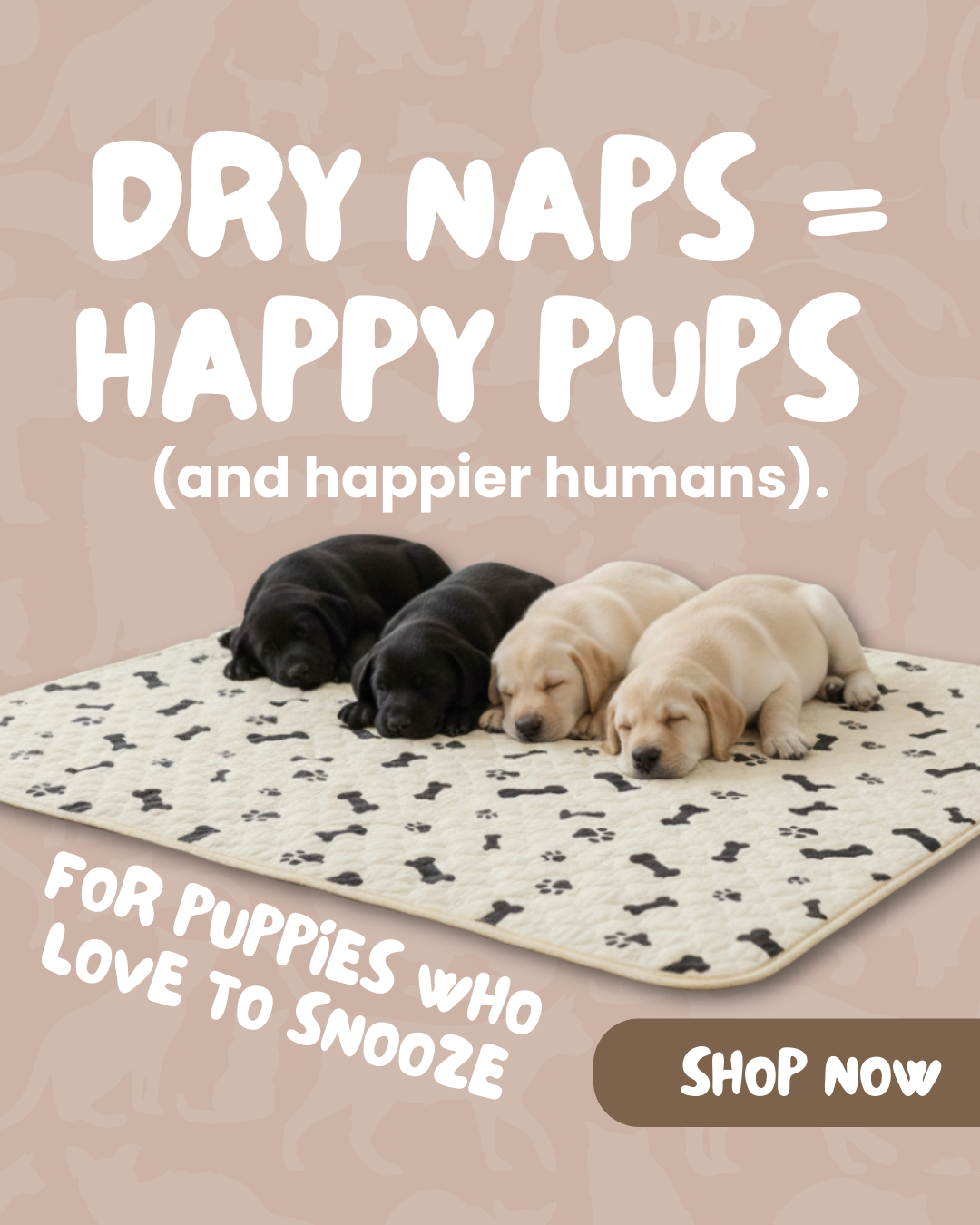 Potty Buddy Facebook ad