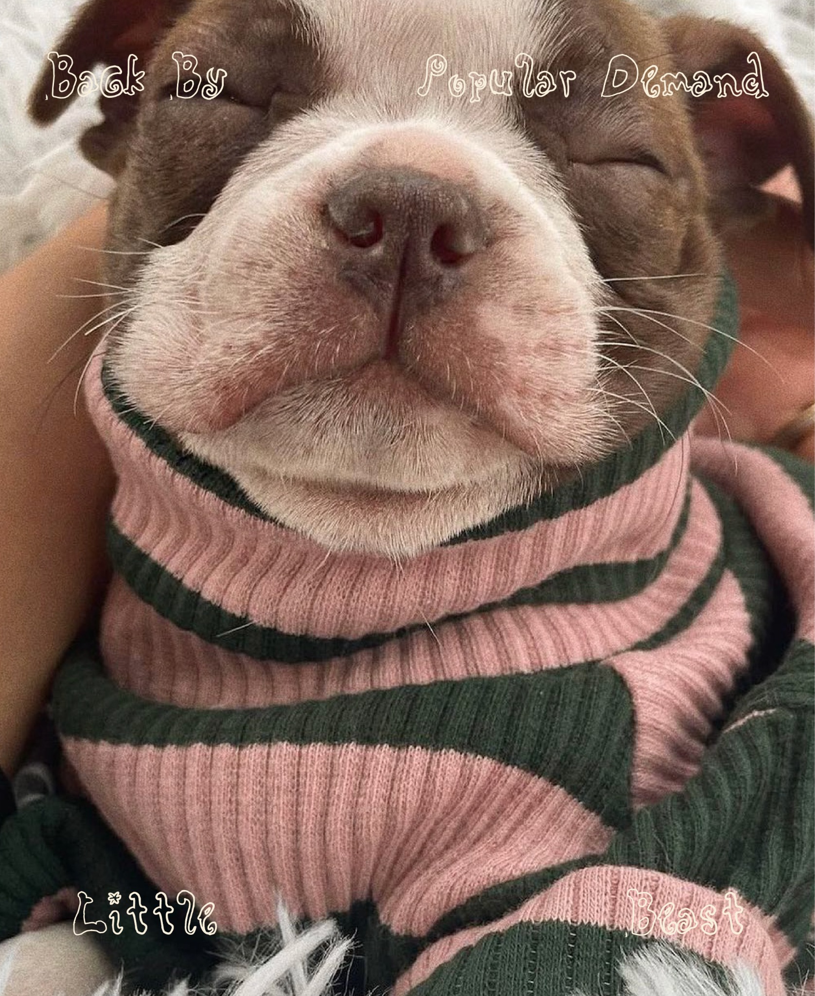 Little Beast Facebook ad