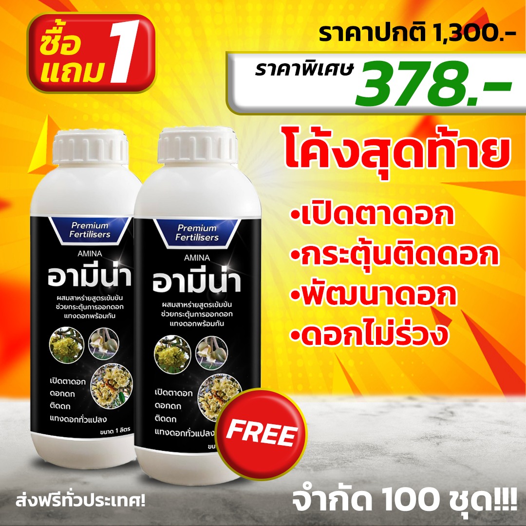 อามีน่า Amina ส่าหร่ายอะมิโน เปิดตาดอกทุเรียนสูตรพรีเมี่ยม มืออาชีพเลือกใช้ Facebook ad
