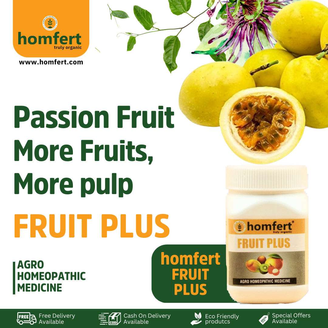 Homfert Facebook ad