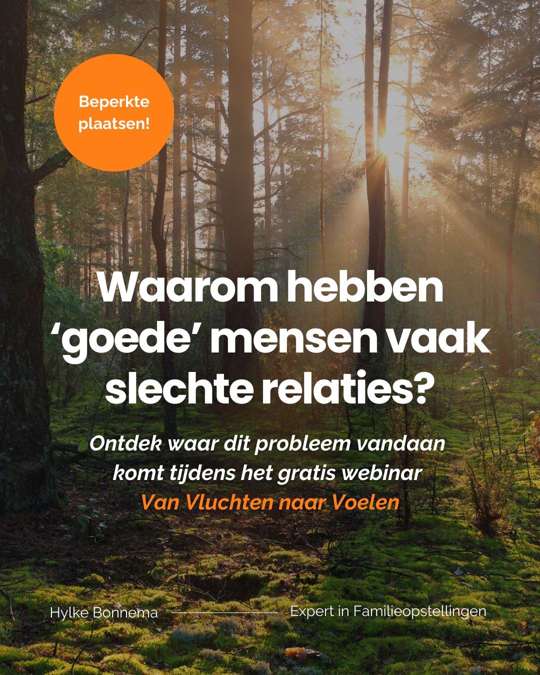 Hylke Bonnema Facebook ad