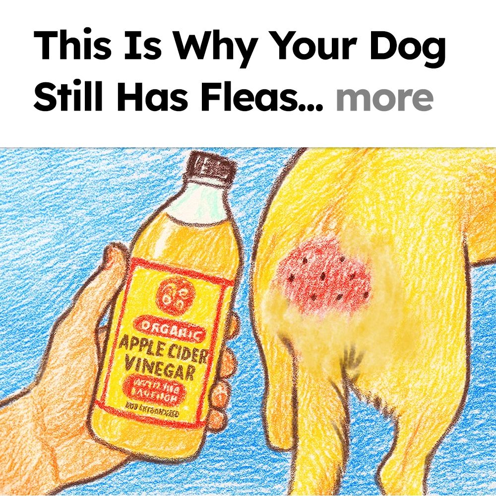 Flea Secrets Facebook ad
