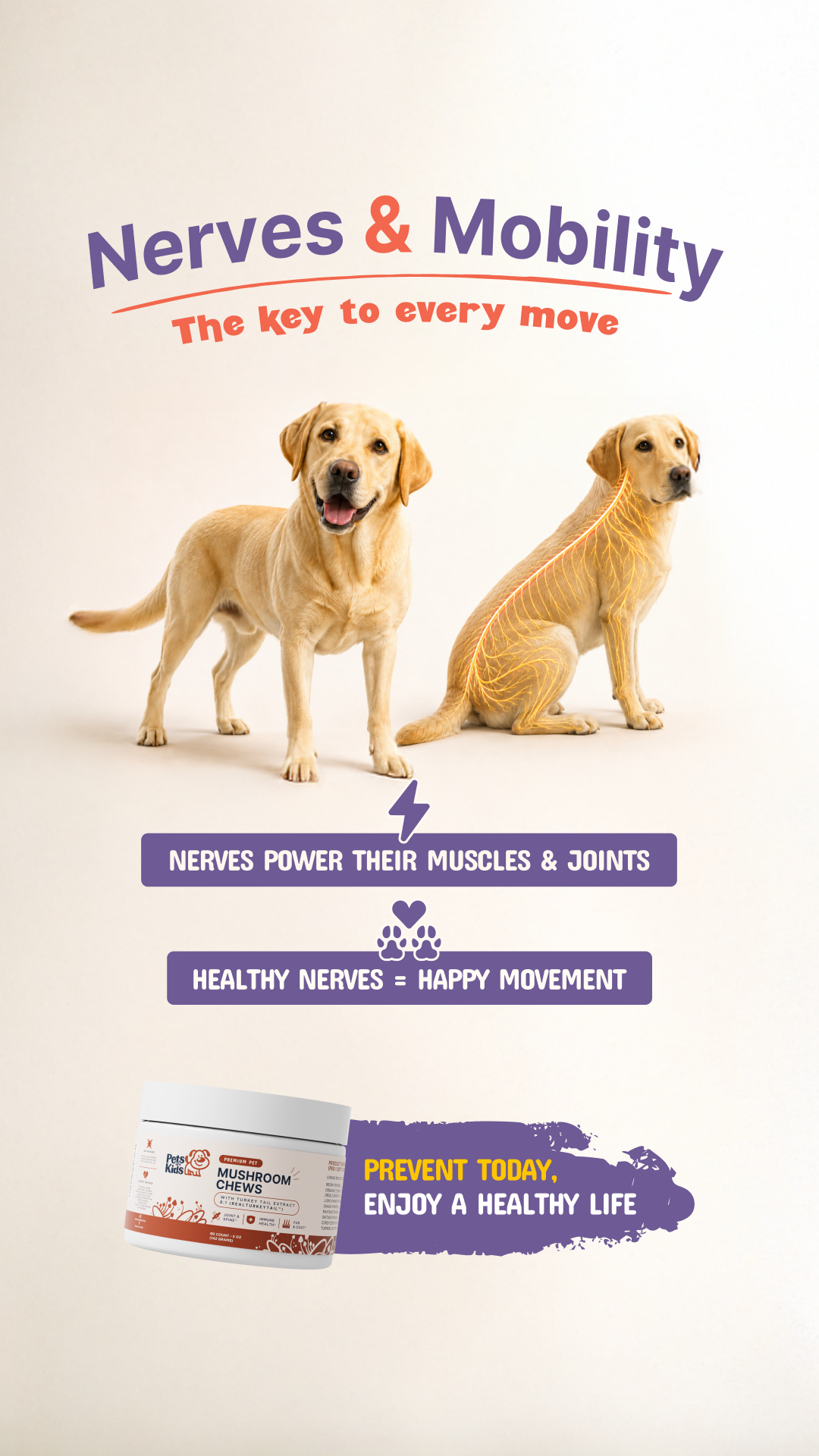 Pets Are Kids Facebook ad
