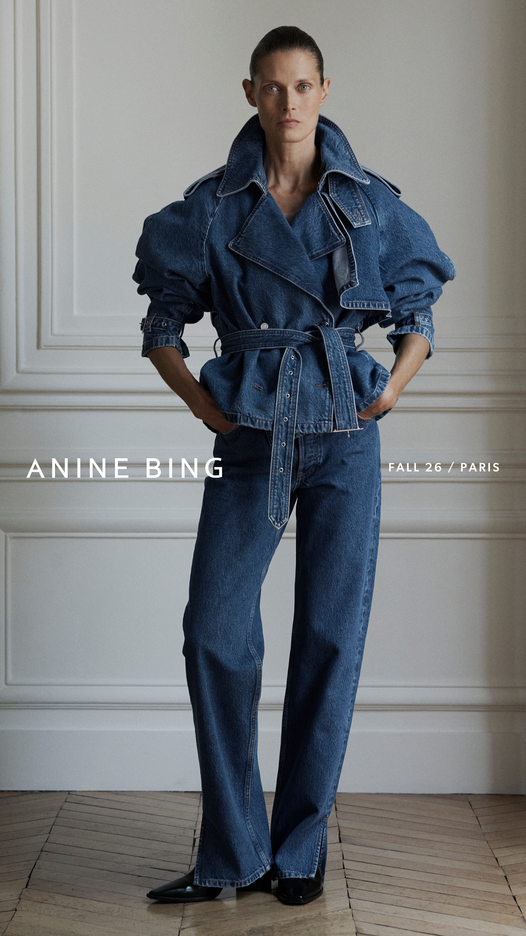 ANINE BING Facebook ad