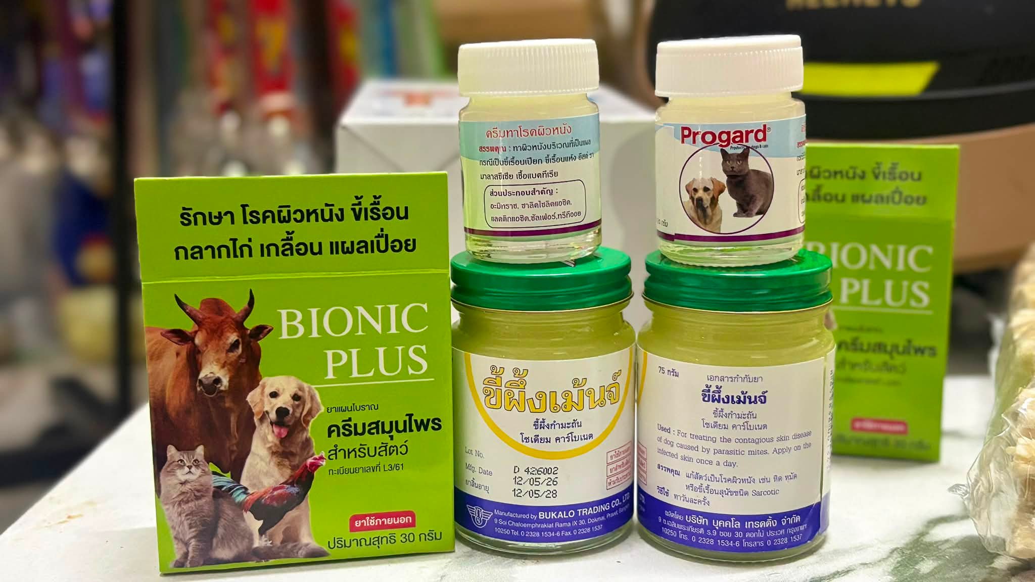 Petopia ຜະລິດຕະພັນສຳລັບສັດລ້ຽງ Facebook ad: ອັບເດດສິນຄ້າປະຈຳເດືອນນີ້