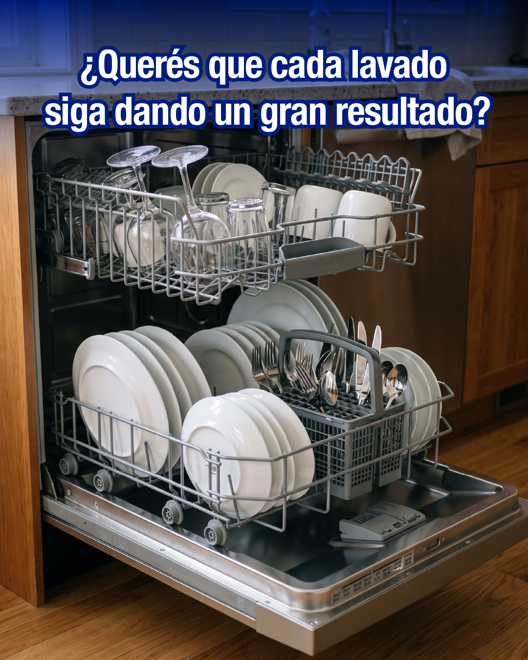 BrillArgentina Facebook ad