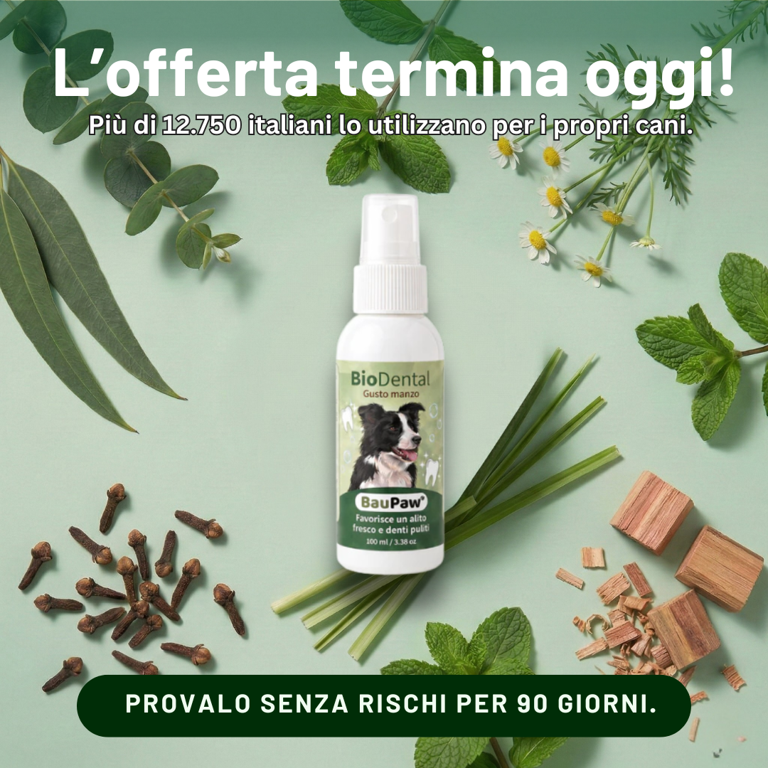 Amici a 4 Zampe Facebook ad: 5 secondi al giorno. Niente più detartrasi.