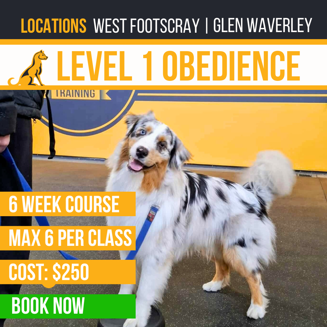 Pro Dog Training Facebook ad
