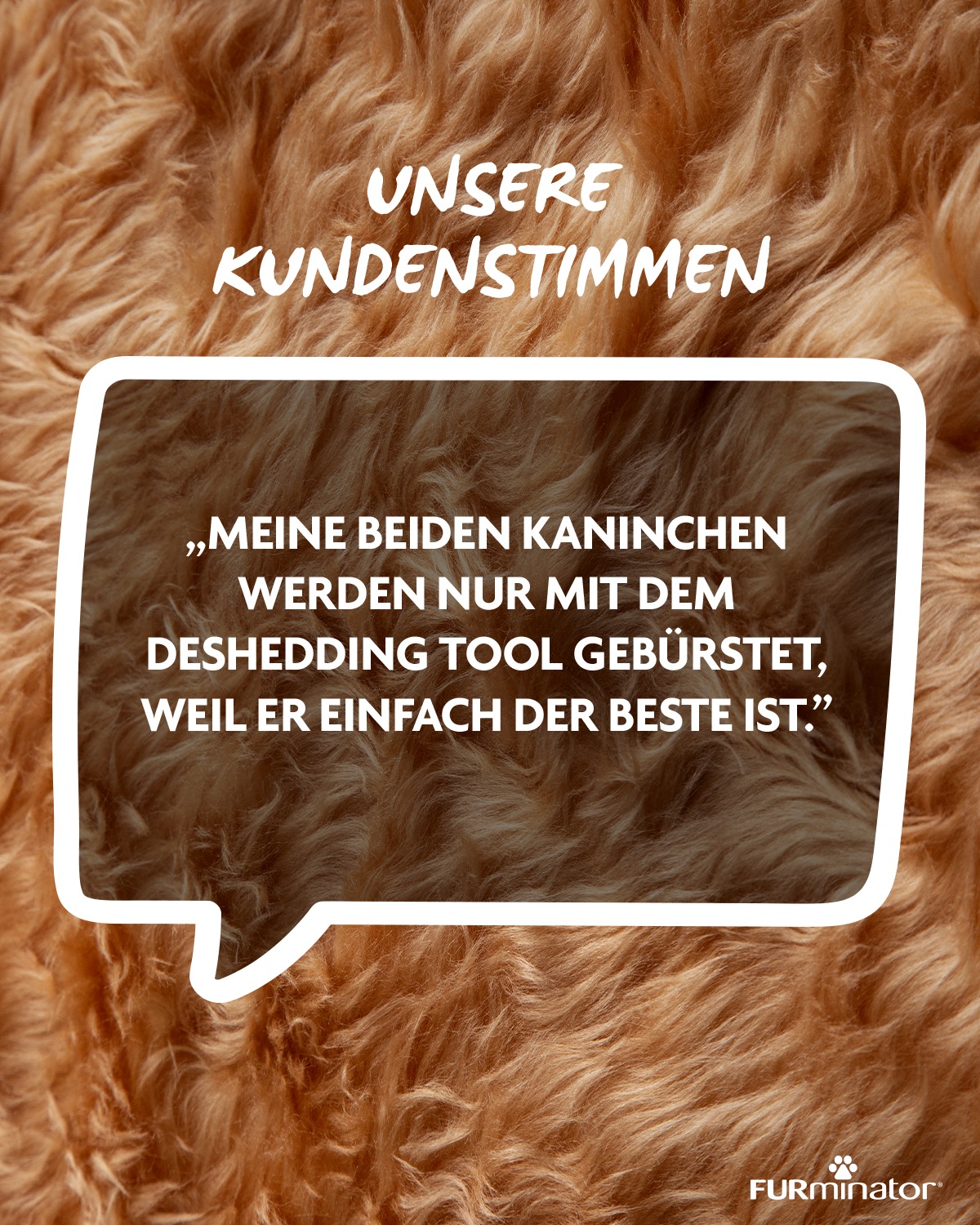 FURminator Deutschland Facebook ad: Kleine Tools, große Wirkung, euer Feedback zeigt’s immer…