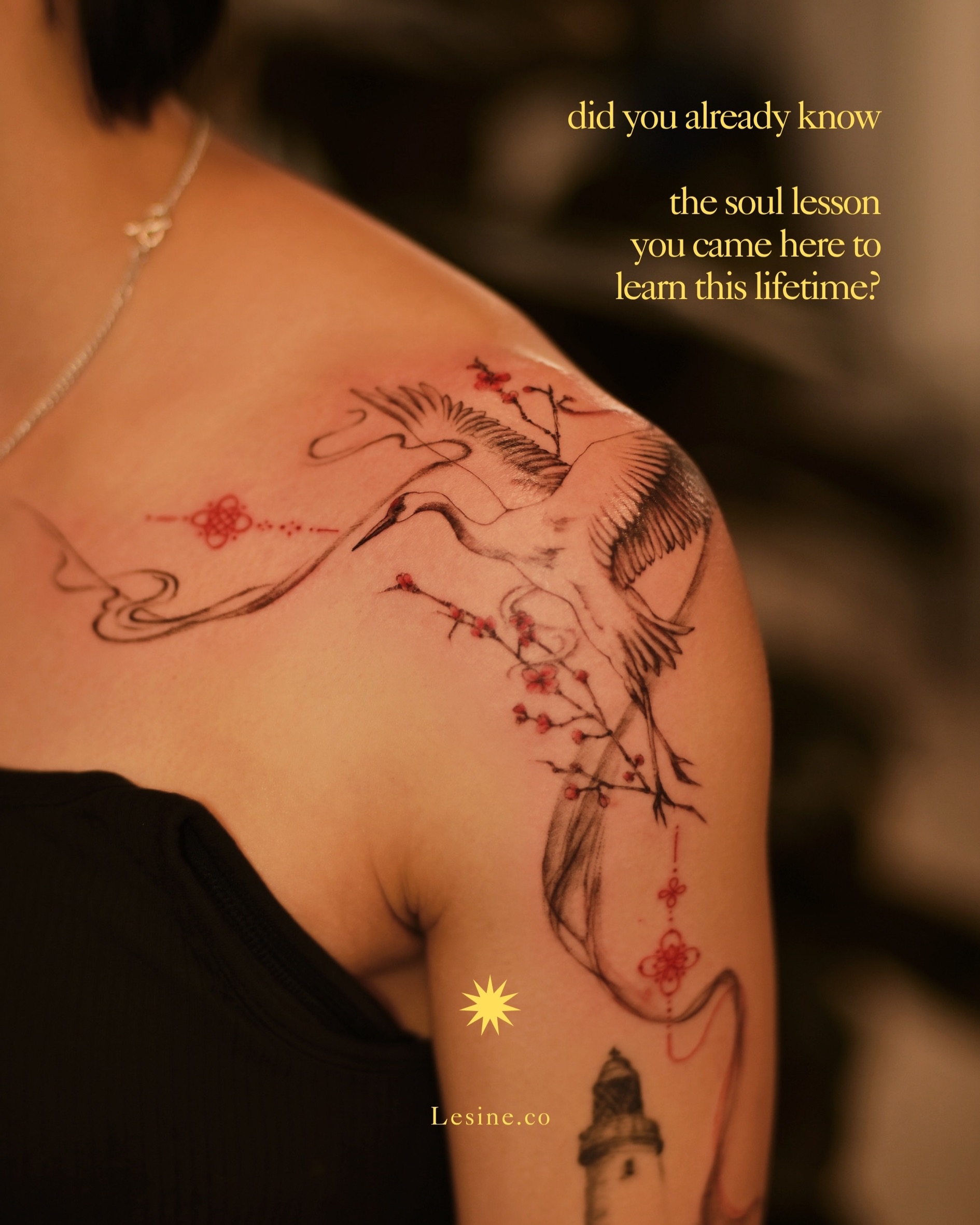 Lesine • The Sine Facebook ad: 𝙏𝙖𝙩𝙩𝙤𝙤 + 𝘼𝙨𝙩𝙧𝙤𝙡𝙤𝙜𝙮 𝙄𝙣𝙩𝙚𝙜𝙧𝙖𝙩𝙞𝙤𝙣
