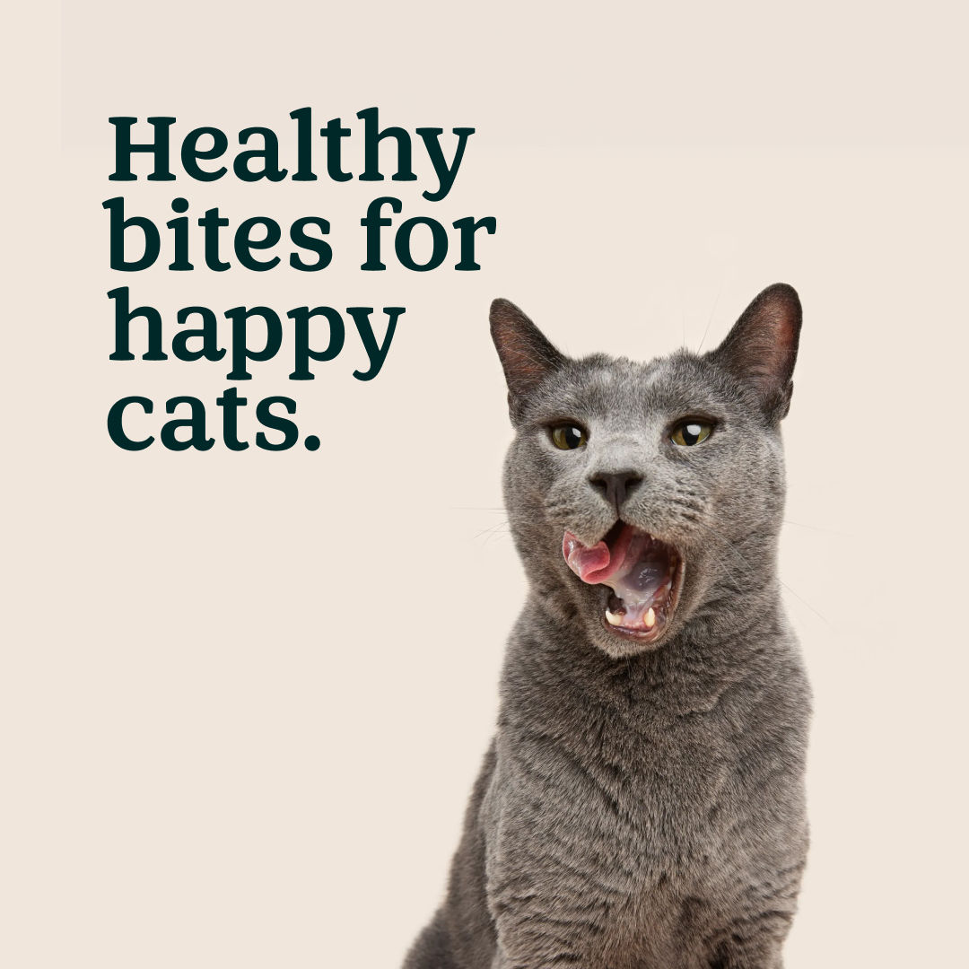 Pets UK Facebook ad