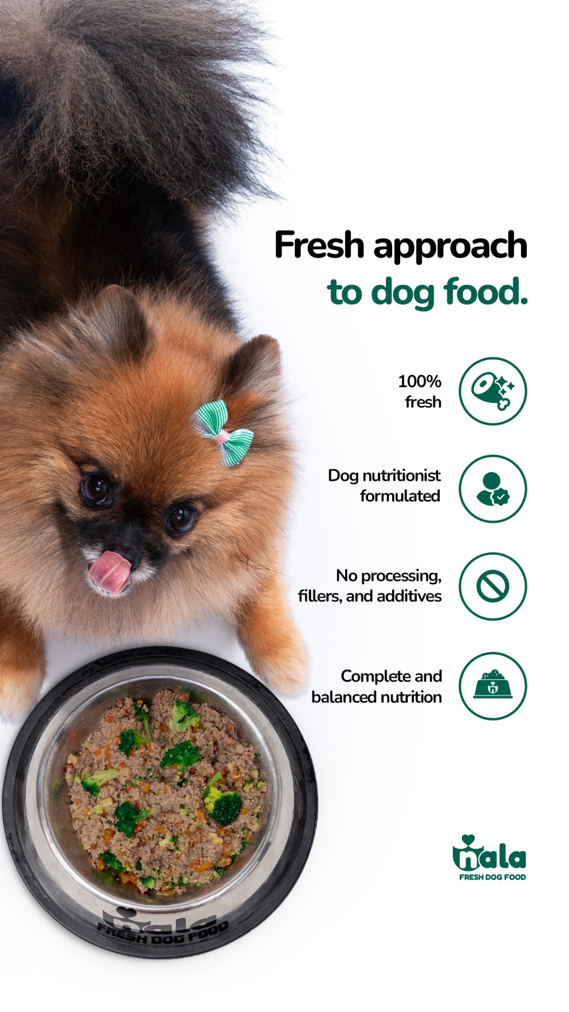 Nala Fresh Dog Food Facebook ad from Jun 4, 2026