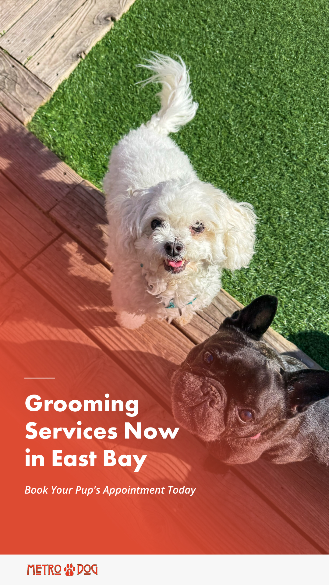 Metro Dog East Bay Facebook ad from May 7, 2026