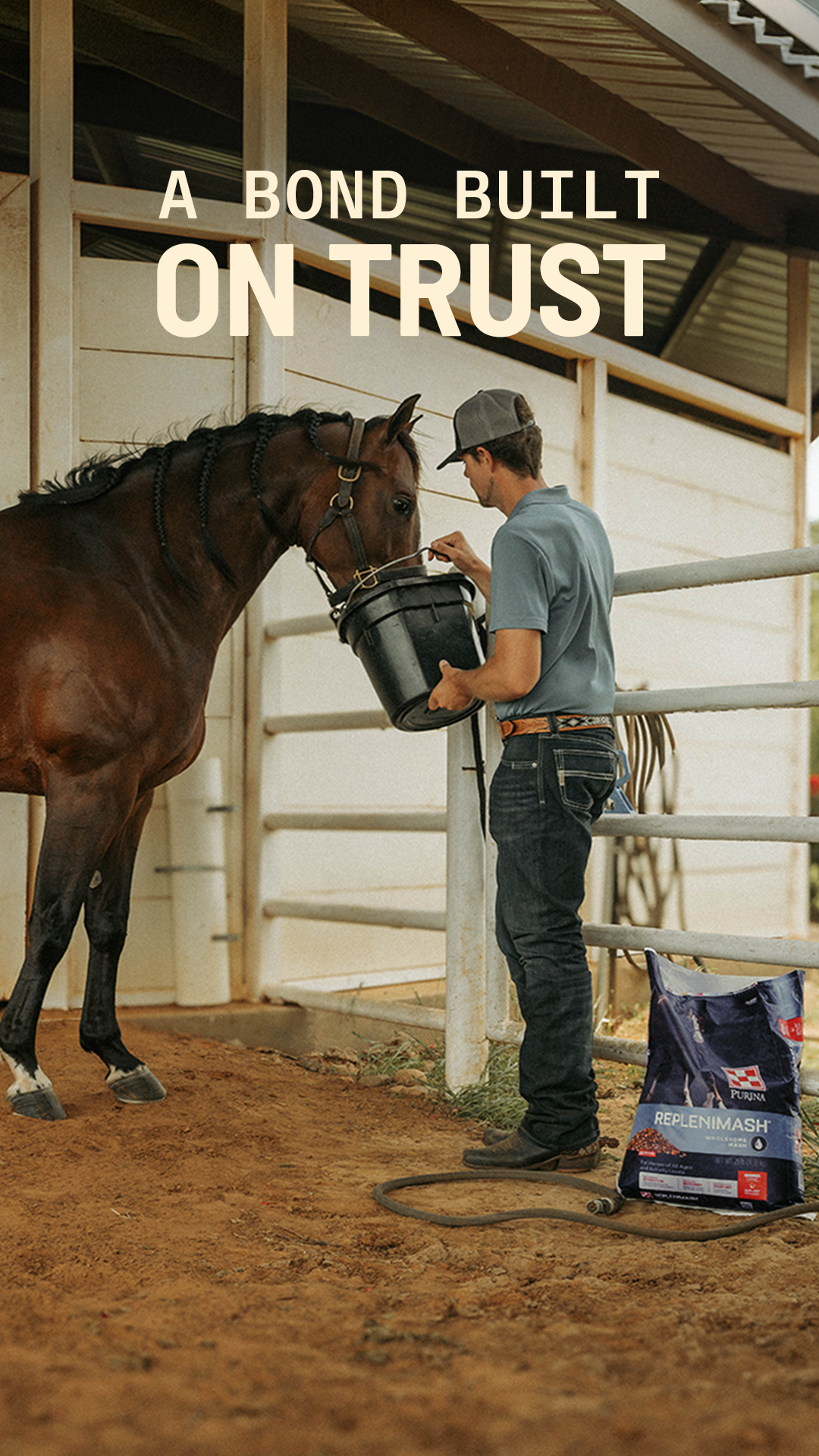 Purina Horse Facebook ad from Sep 1, 2026
