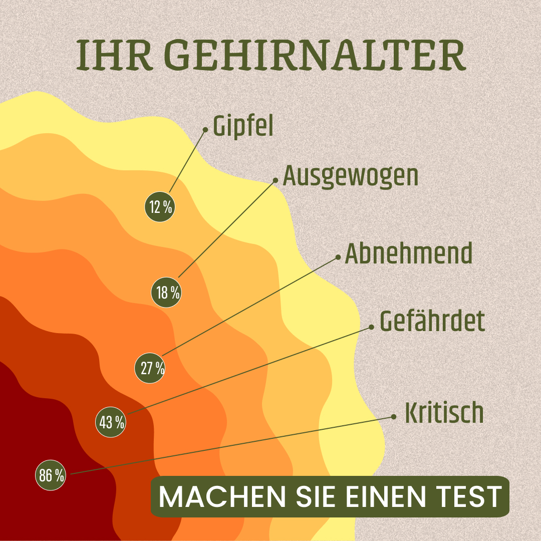 Protect Your Brain From Aging Facebook ad: Machen Sie den Test