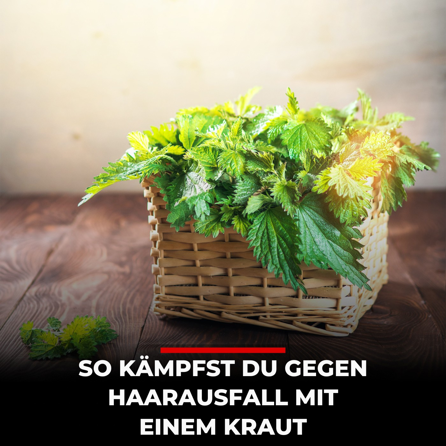 InaEssentials - Online Shop für Bio-Kosmetik Facebook ad
