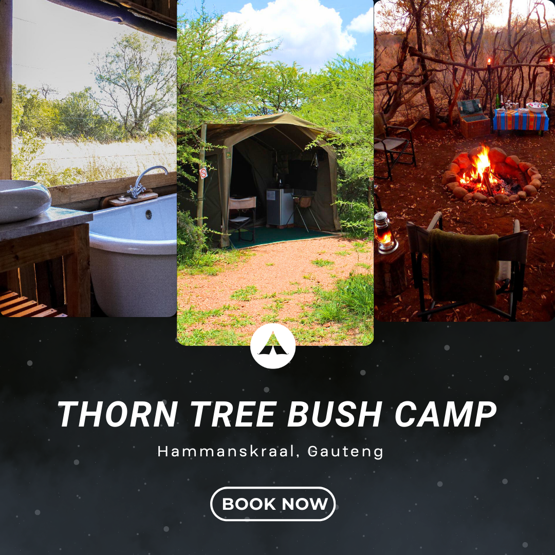 Night Sky Bookings Facebook ad: From luxury glamping and lodges to cosy self-catering…