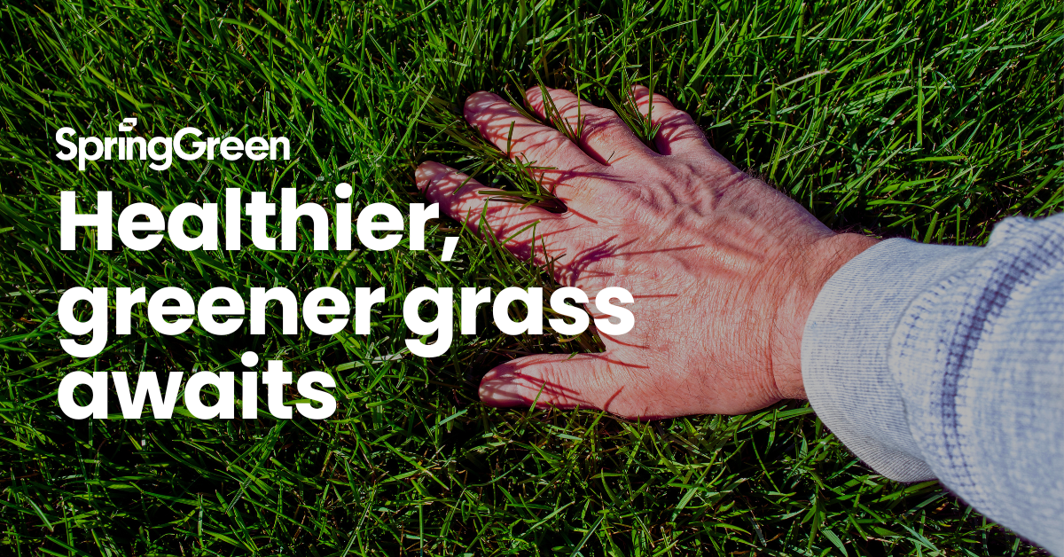 SpringGreen Facebook ad