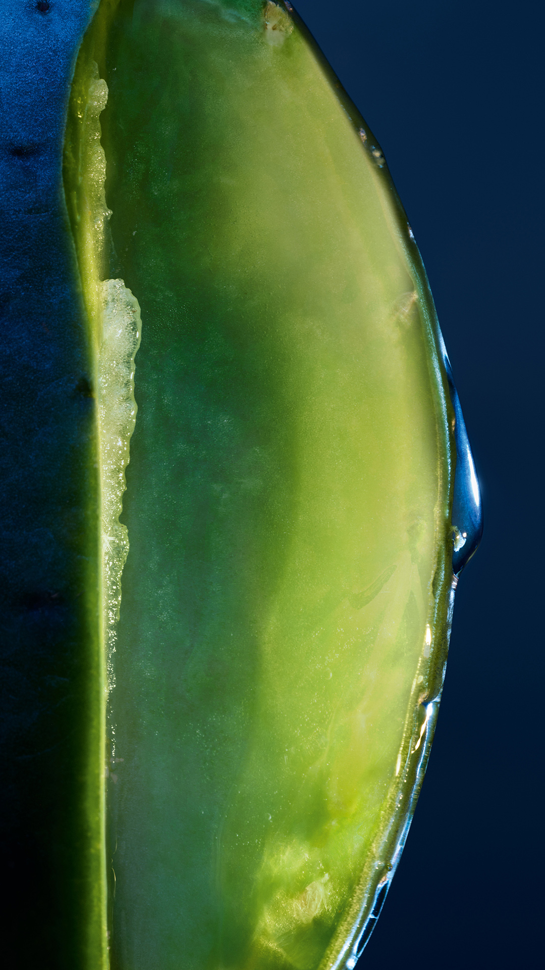 Dior Facebook ad