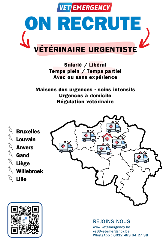 Vet Emergency Facebook ad: Vet Emergency Recrute