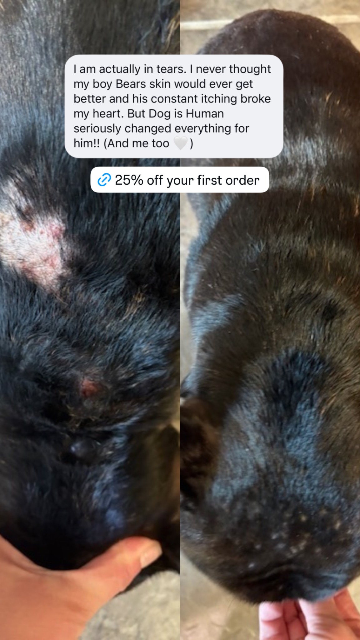 Dog is Human Facebook ad