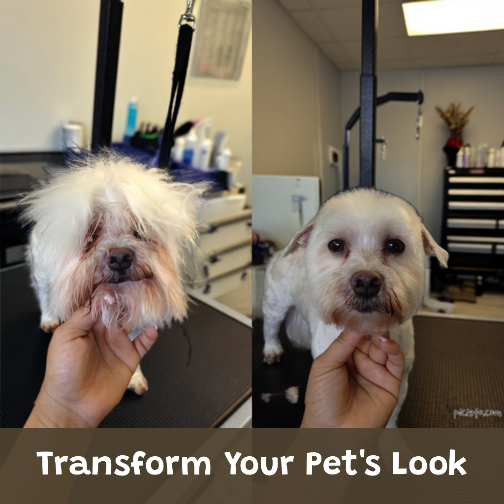 Mobile Pet Grooming Facebook ad from Jun 15, 2025