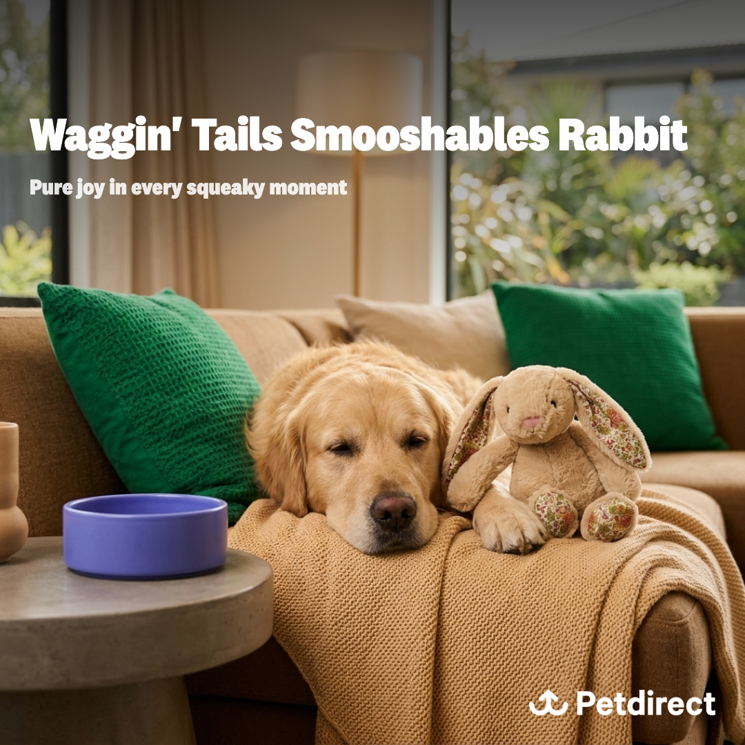 Petdirect Facebook ad: The Perfect Plush Companion
