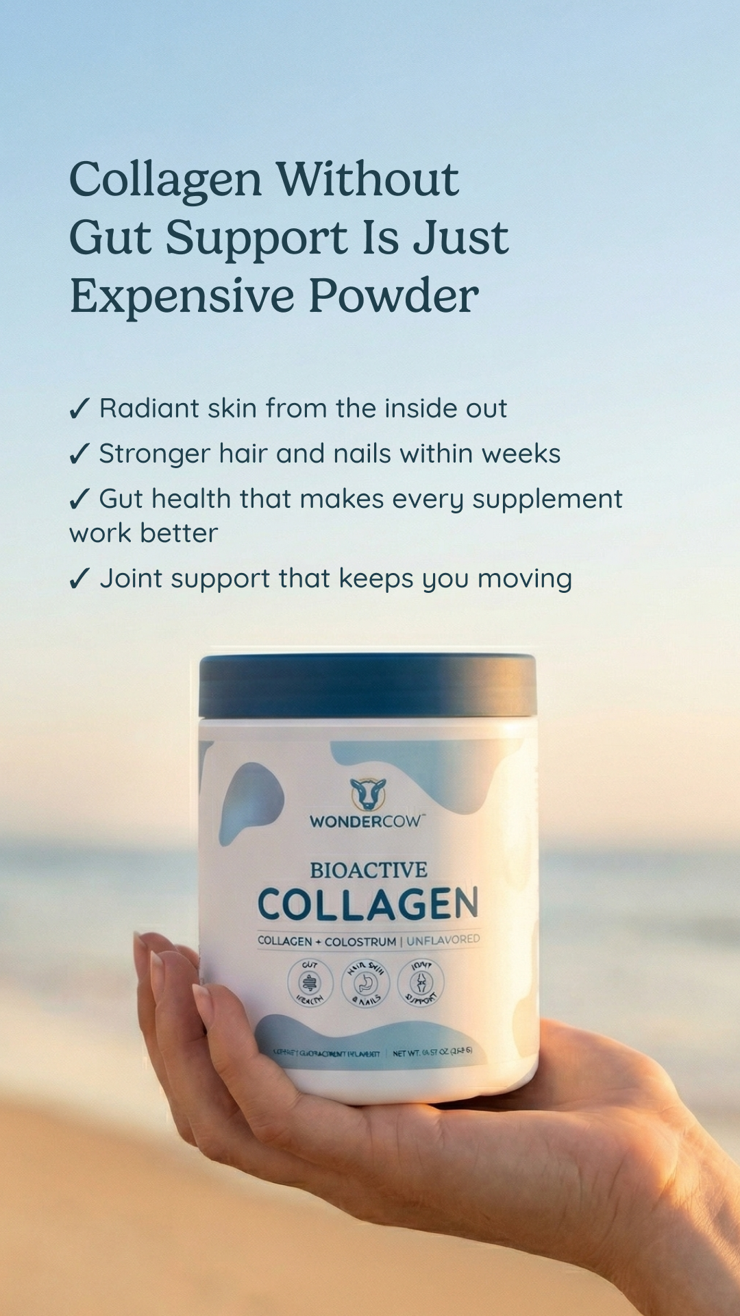 Wondercowusa Facebook ad