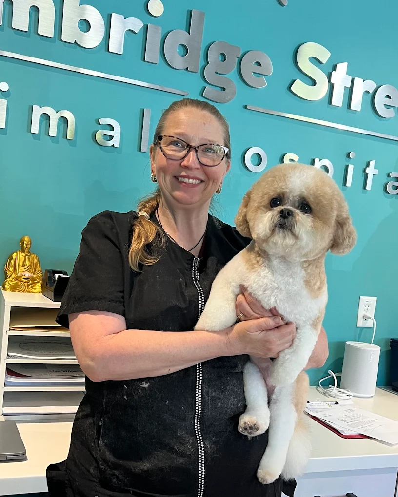 Cambridge Street Animal Hospital Facebook ad: Your pet’s health and happiness matter.