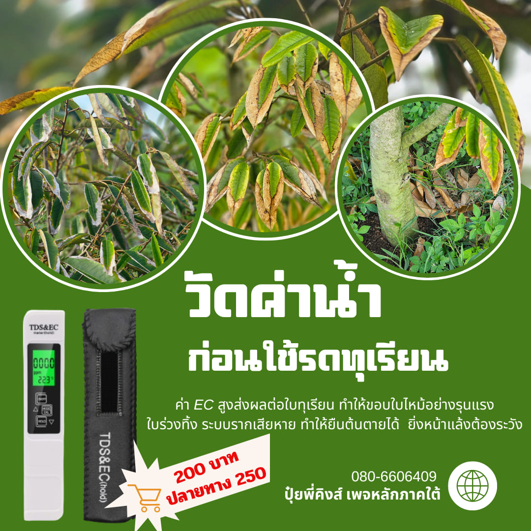 ปุ๋ยพี่คิงส์ เพจหลักภาคใต้ Facebook ad