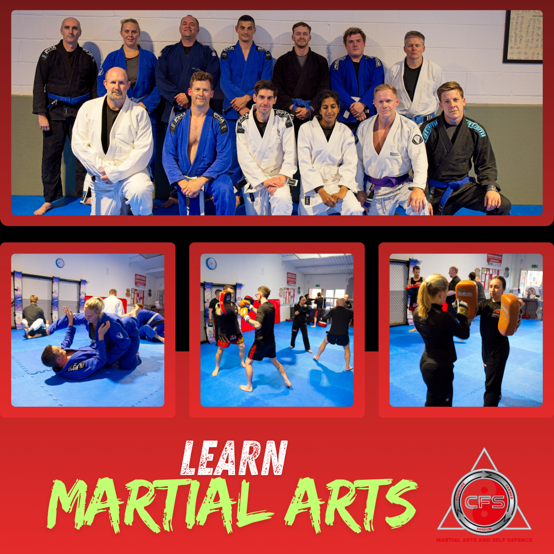 CFS Martial Arts Academy Facebook ad