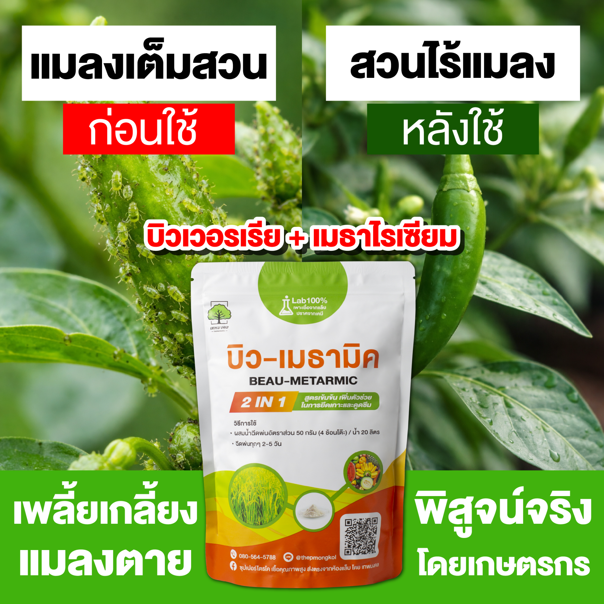 สินค้าการเกษตร เพื่อเกษตรกรไทย ตราเทพมงคล Facebook ad