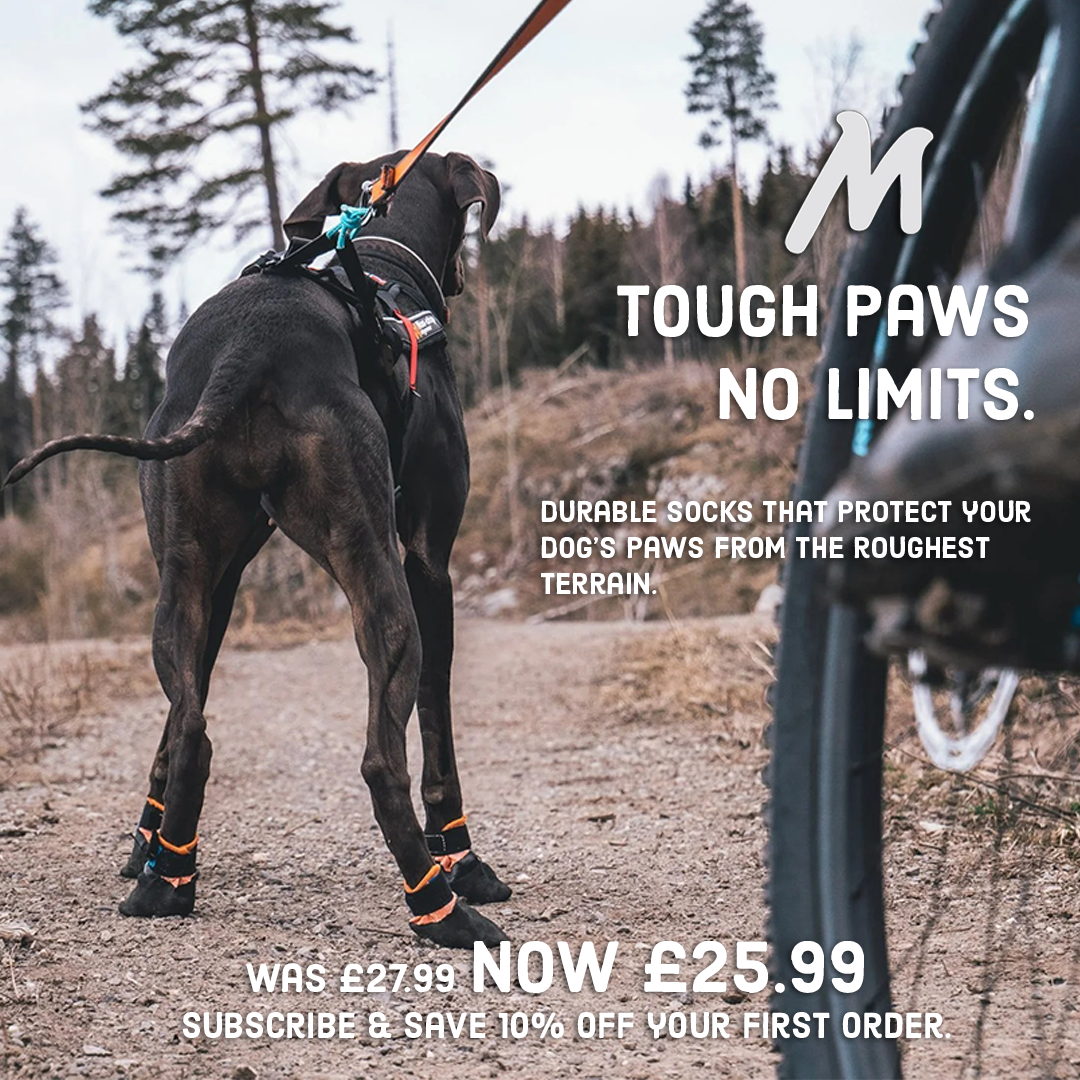 Mountain Dog Ltd Facebook ad: Subscribe and save 10% off your first order.