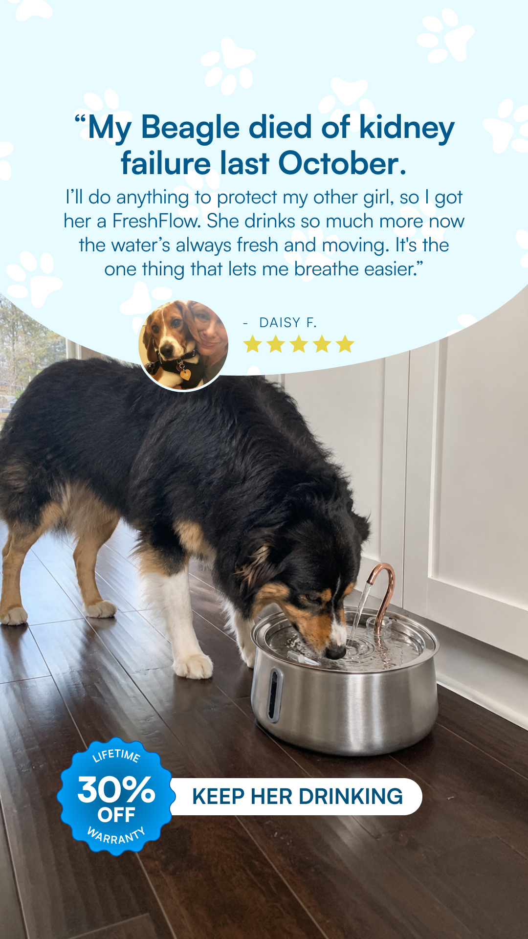 Rhykin Pet Co Facebook ad